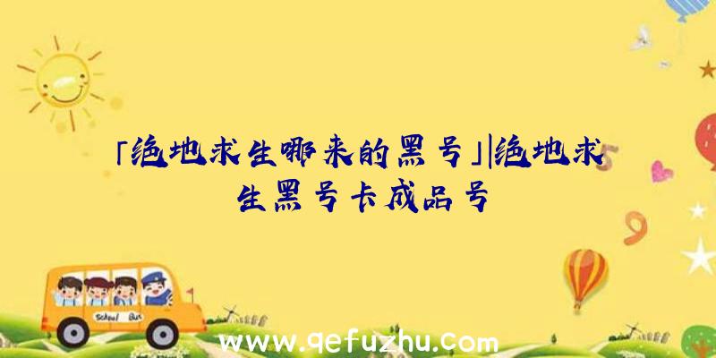 「绝地求生哪来的黑号」|绝地求生黑号卡成品号